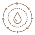 Bloodcirculation-icon